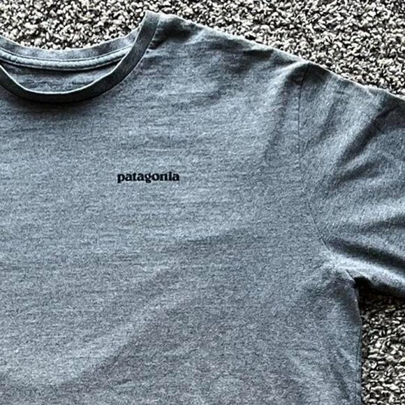 Gray Patagonia Mens Large Short Sleeve Shirt, Cotton T-Shirt - Picture 2 of 6